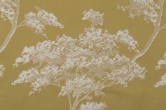 AROMA-08-8037-MAYER-14830-61