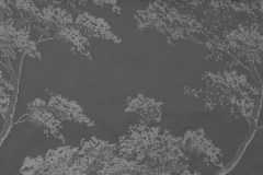 AROMA-08-8043-MAYER-14830-63